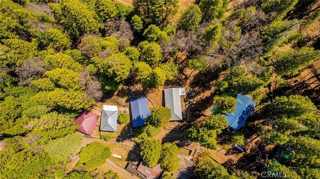 50054 Poplar Rd, Oakhurst, CA 93644 - photo 33