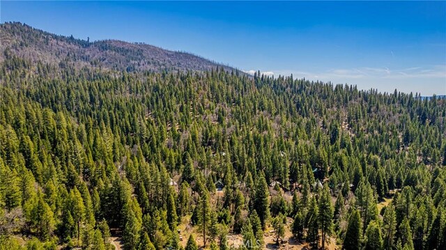 50054 Poplar Rd, Oakhurst, CA 93644 - photo 35