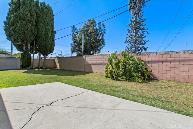view of yard with a patio and a fenced backyard