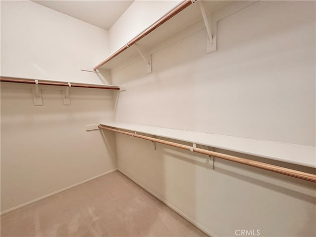 spacious closet with light carpet