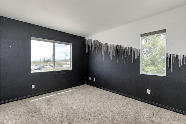 empty room featuring carpet flooring