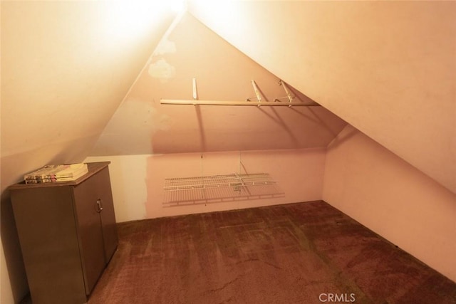 additional living space featuring carpet and vaulted ceiling
