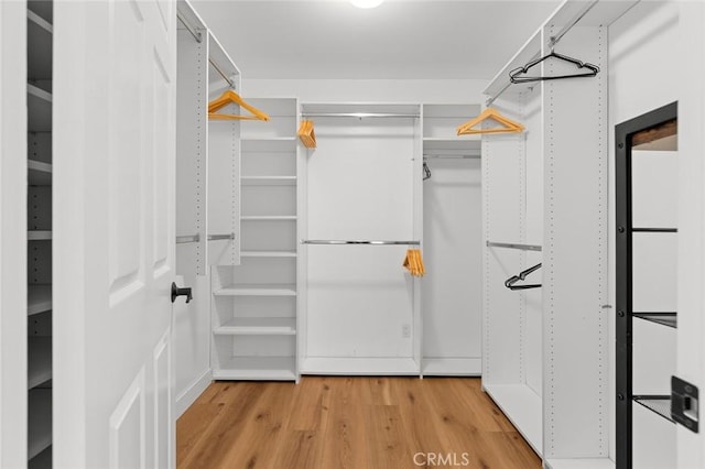 6582 Corrine Cir, Huntington Beach, CA 92647 - walk in closet with light wood-type flooring