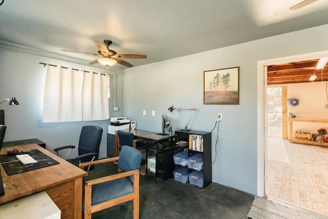 office area with ceiling fan