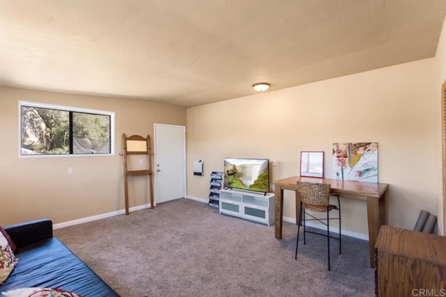 interior space featuring baseboards and carpet flooring