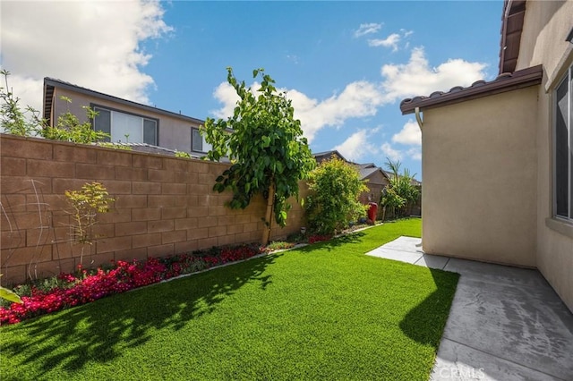 view of yard with a fenced backyard and a patio