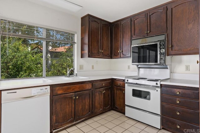 kitchen with dark brown cabinetry, a sink, white appliances, light countertops, and light tile patterned floors