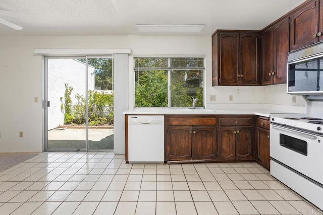 kitchen with a sink, dark brown cabinets, white appliances, and light countertops