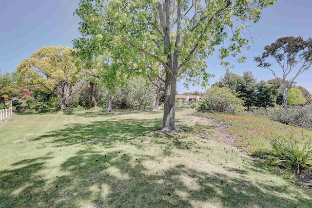 1982 Fairlee Dr, Encinitas, CA 92024 - view of grassy yard