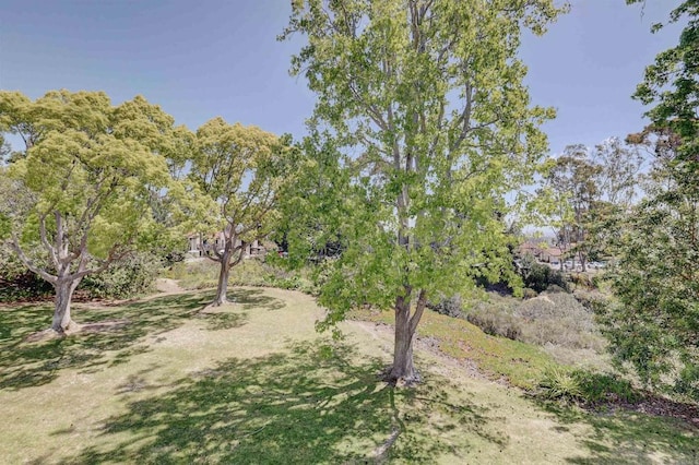 1982 Fairlee Dr, Encinitas, CA 92024 - view of yard