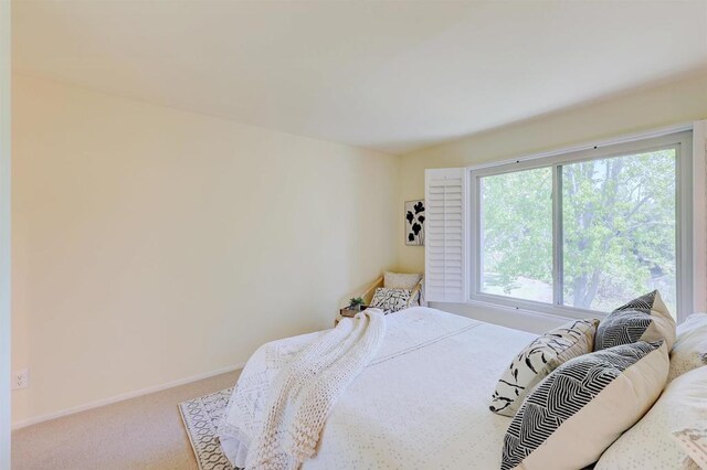 1982 Fairlee Dr, Encinitas, CA 92024 - carpeted bedroom with baseboards