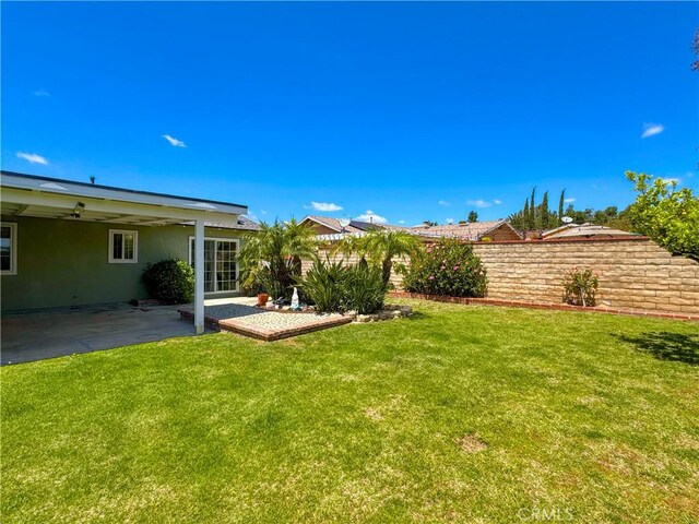 view of yard featuring a patio area