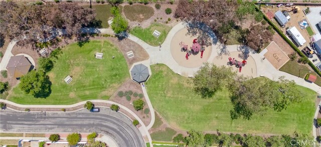 bird's eye view