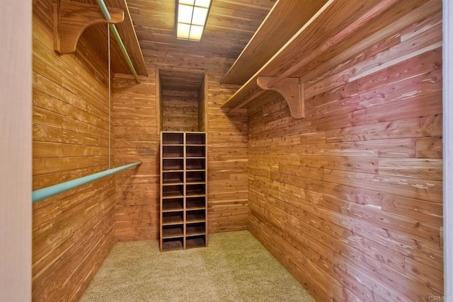 walk in closet featuring carpet flooring