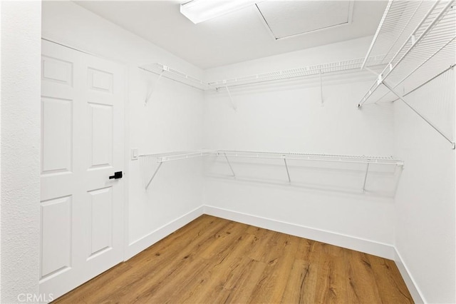 spacious closet featuring light wood-type flooring and attic access