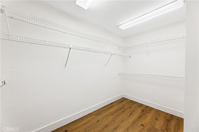 walk in closet with wood finished floors