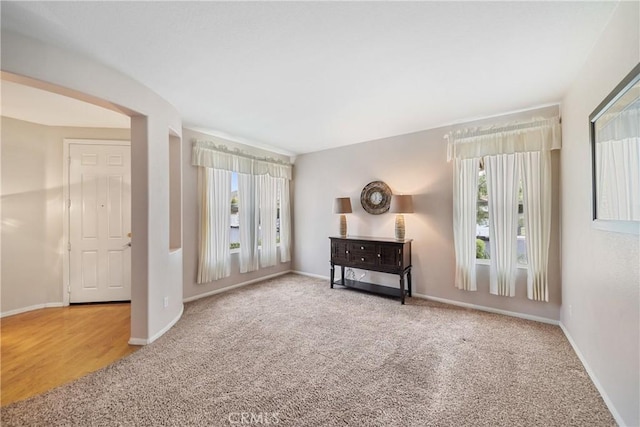 empty room with baseboards, carpet flooring, and a wealth of natural light