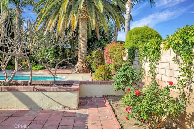 exterior space with a patio area and an outdoor pool
