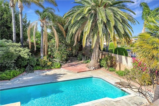 view of swimming pool featuring a patio, a fenced in pool, and a fenced backyard