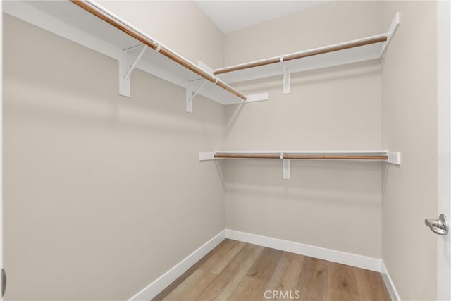 spacious closet featuring wood finished floors