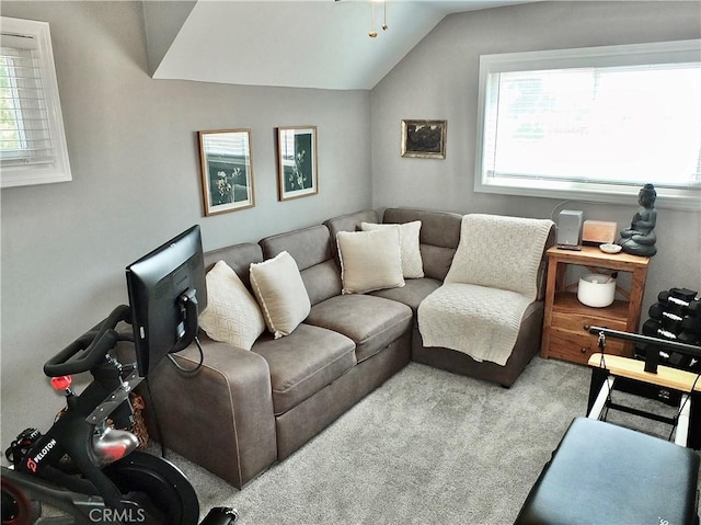 living area featuring carpet floors and vaulted ceiling