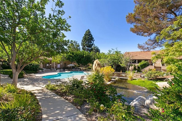 pool with a patio area