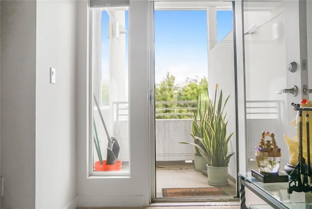 doorway with plenty of natural light