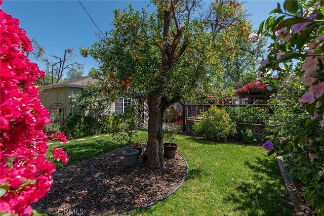 17557 Gilmore St, Lake Balboa, CA 91406 - view of grassy yard