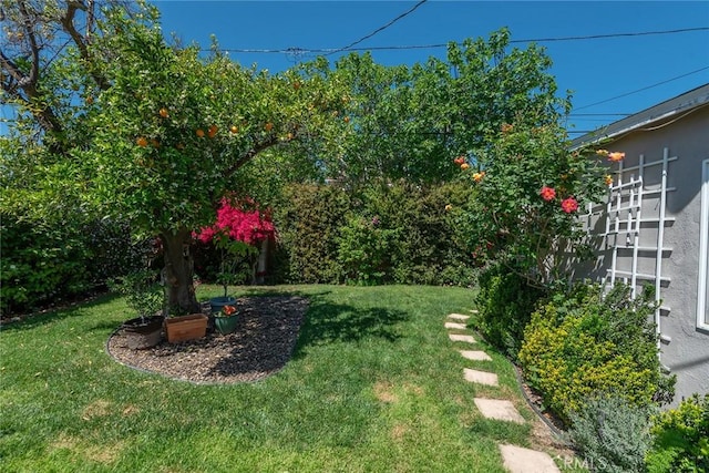 17557 Gilmore St, Lake Balboa, CA 91406 - view of grassy yard