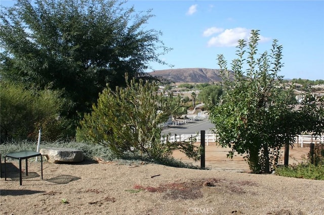 23641 Rose Quartz Dr, Perris, CA 92570 - photo 23