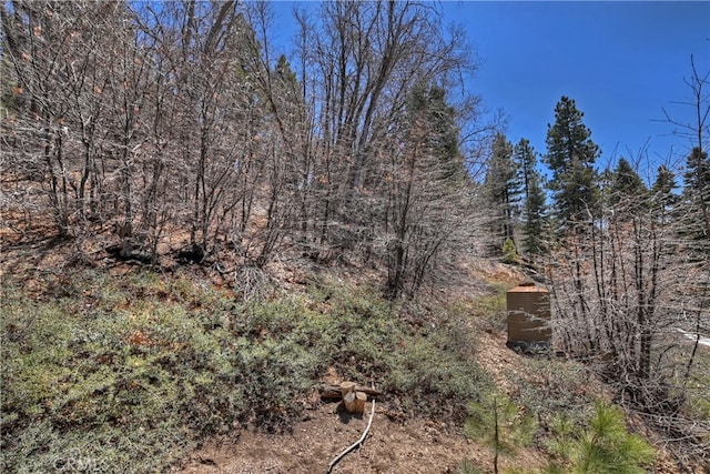 view of local wilderness