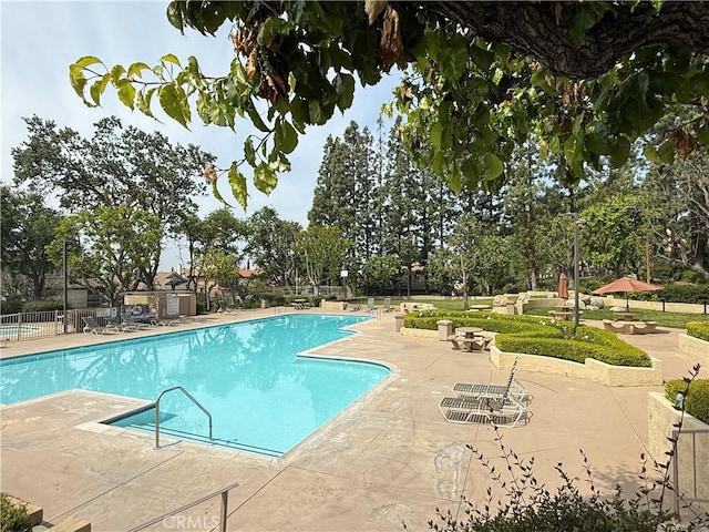 pool featuring a patio and fence