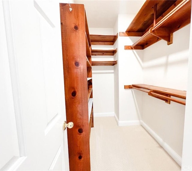 6926 Orozco Dr, Riverside, CA 92506 - walk in closet with light carpet