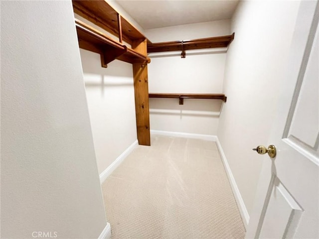 6926 Orozco Dr, Riverside, CA 92506 - spacious closet with light colored carpet