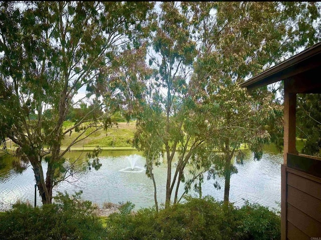 property view of water