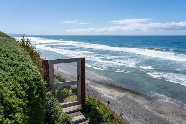 view of water feature featuring a beach view
