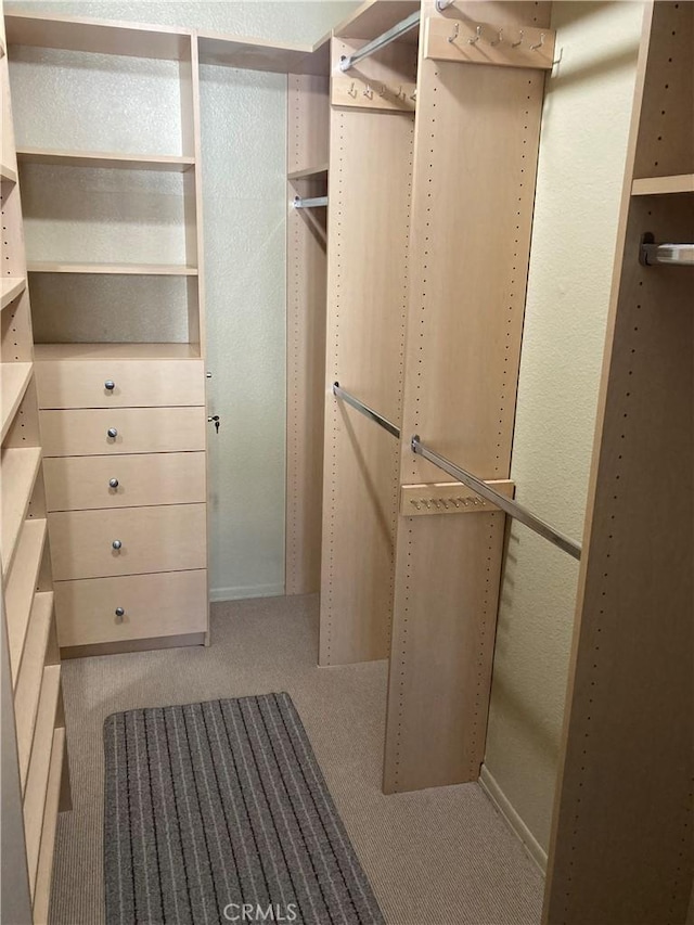 walk in closet featuring carpet floors