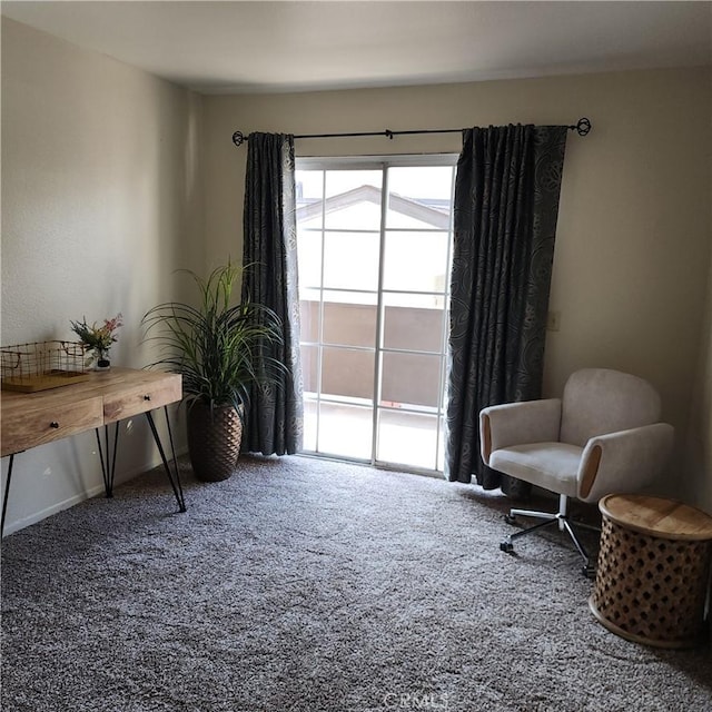 sitting room featuring carpet floors