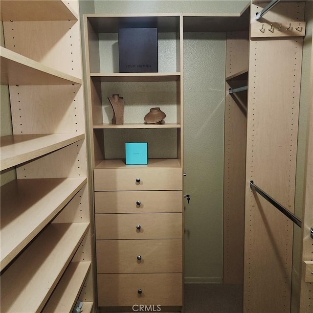 3800 Stocker St Unit 17, View Park, CA 90008 - view of walk in closet