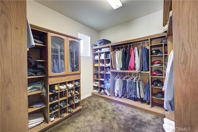 walk in closet with carpet floors