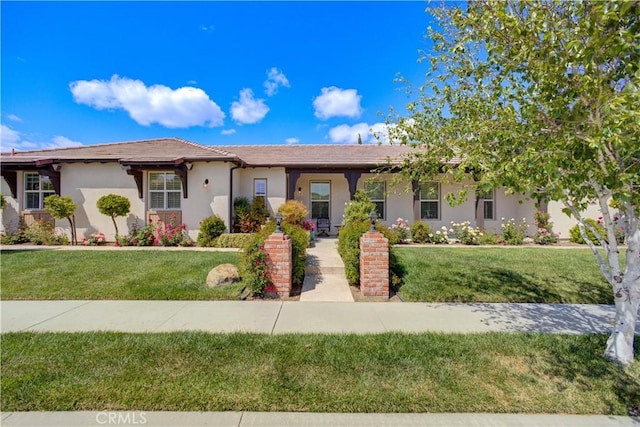 ranch-style home with a front lawn and stucco siding