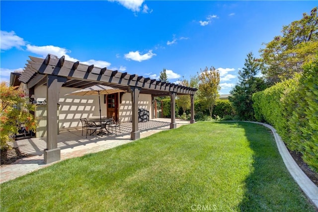 view of yard featuring a patio area and a pergola
