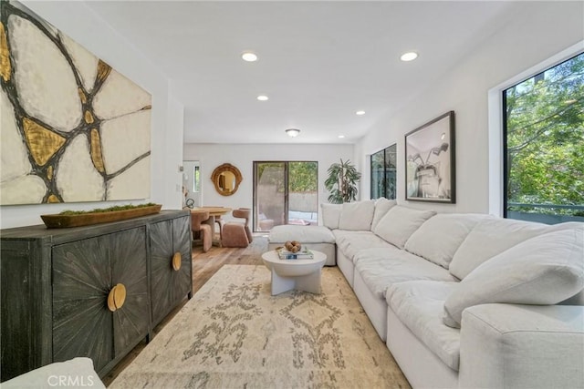 living room featuring recessed lighting and wood finished floors