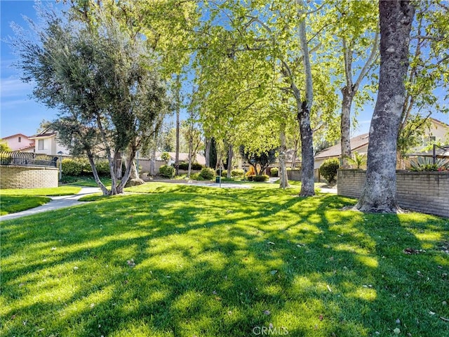 view of yard
