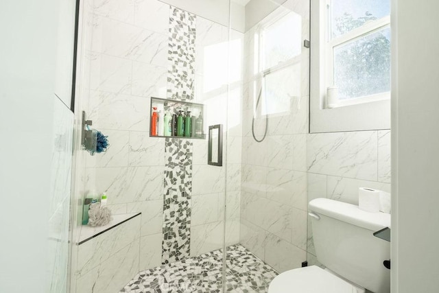 full bathroom with toilet and a shower stall