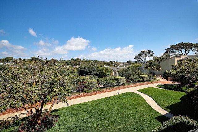 561 S Sierra Ave Unit 34, Solana Beach, CA 92075 - view of green lawn