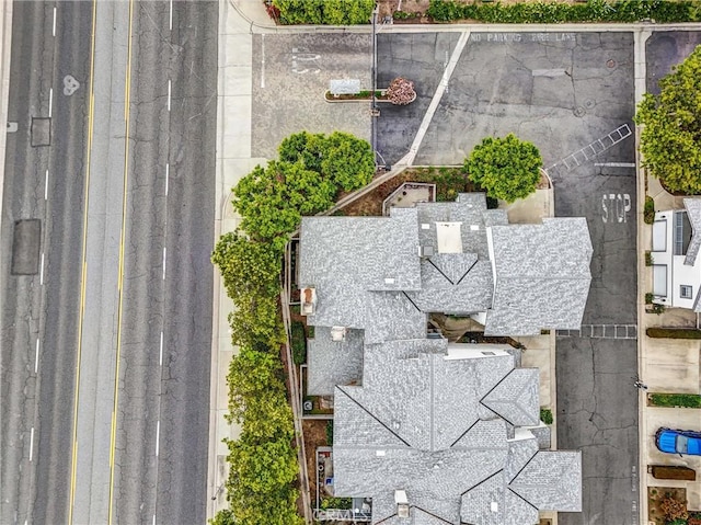 bird's eye view