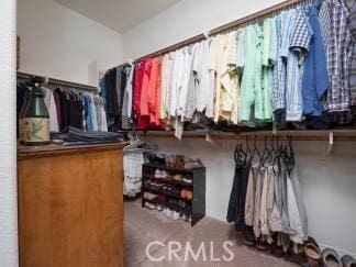 walk in closet with carpet flooring