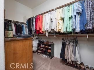 22620 Dragonfly Ct, Saugus, CA 91350 - spacious closet featuring carpet flooring