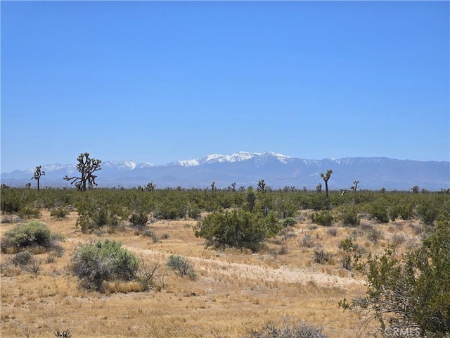 10ACRES Beaver Ave, Adelanto, CA 92301